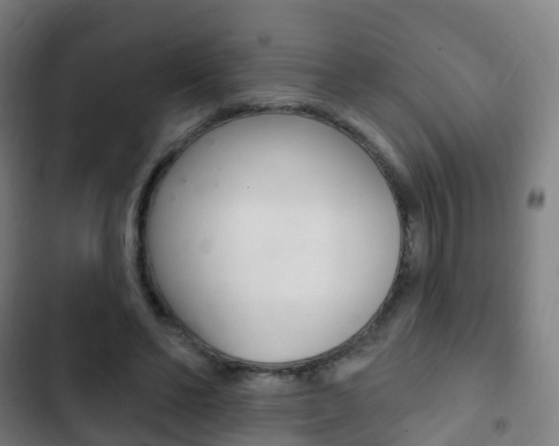 X0000103400494200809120927