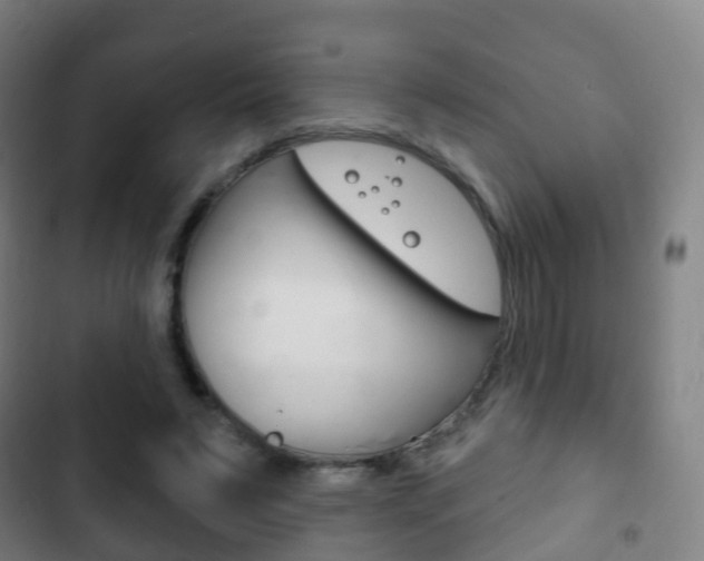 X0000103400495200809120927
