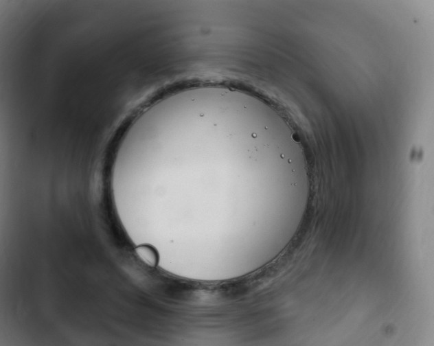 X0000103400496200809120927