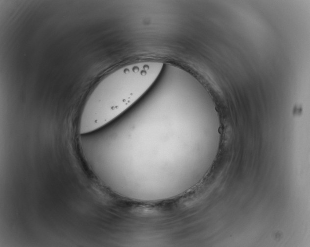 X0000103400498200809120927