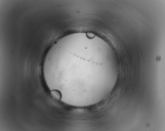 X0000103400499200809120927
