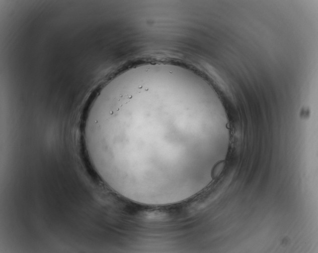 X0000103400500200809120927