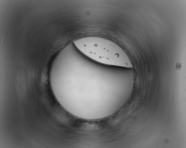 X0000103400502200809120927