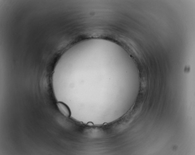 X0000103400503200809120927