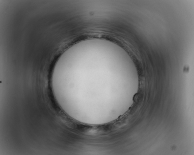 X0000103400504200809120927