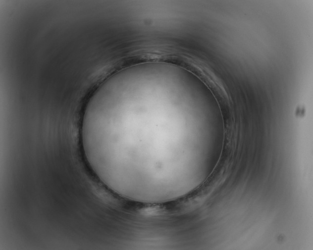X0000103400505200809120927
