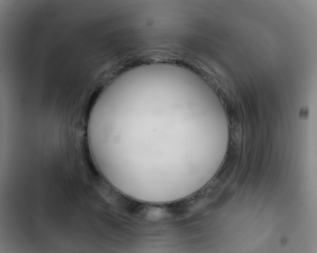 X0000103400507200809120927