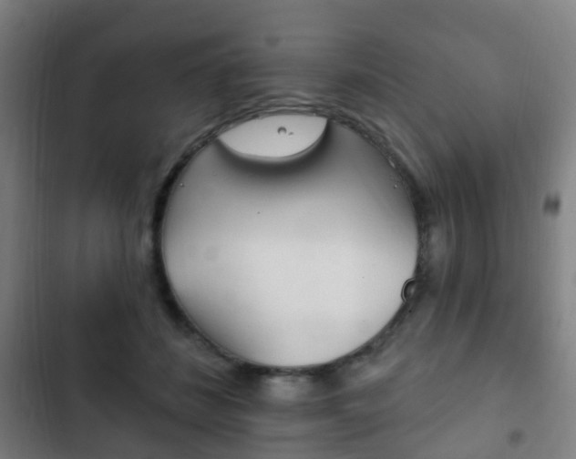 X0000103400508200809120927
