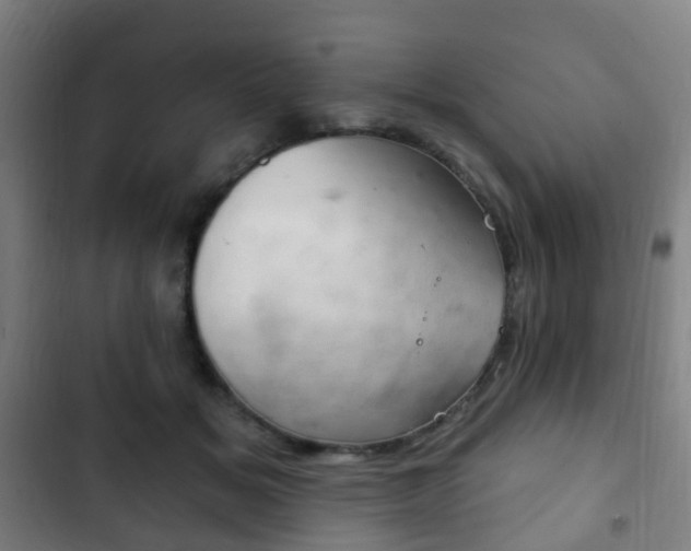 X0000103400509200809120927