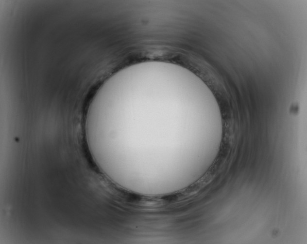 X0000103400510200809120927