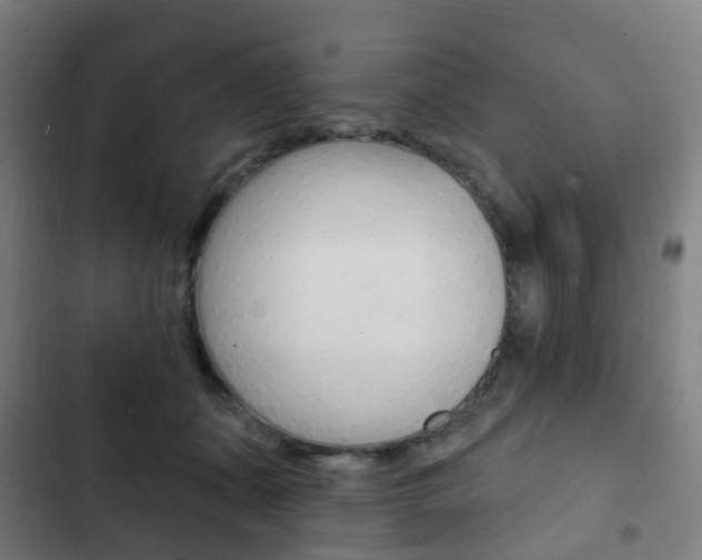 X0000103400511200809120927