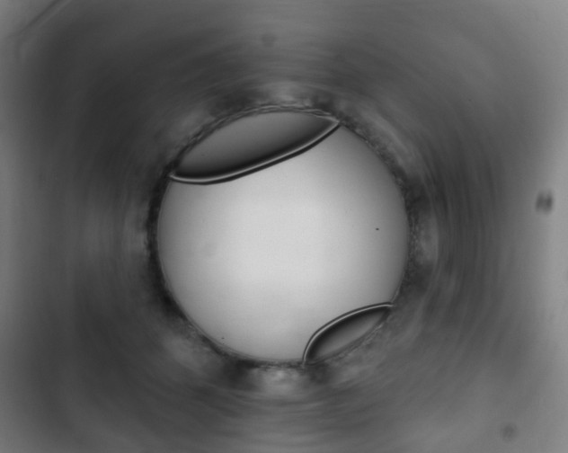 X0000103400512200809120927