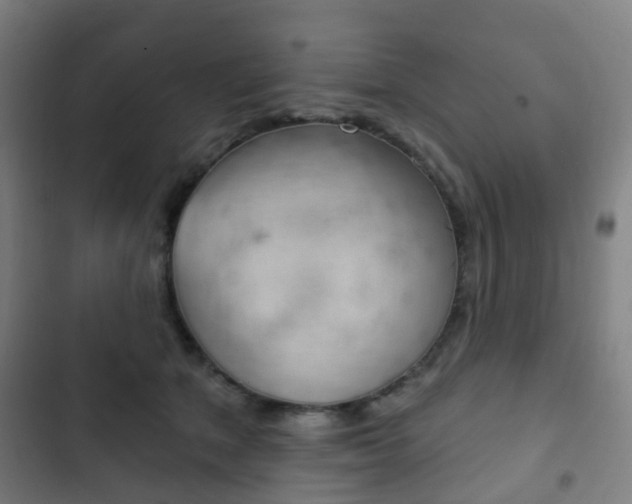 X0000103400513200809120927