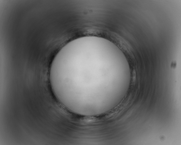 X0000103400514200809120927