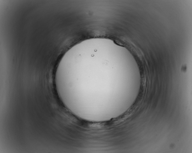 X0000103400516200809120927