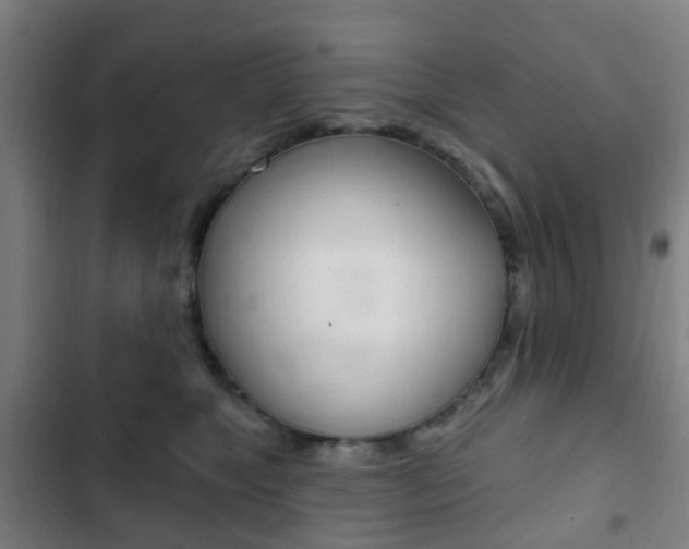 X0000103400517200809120927