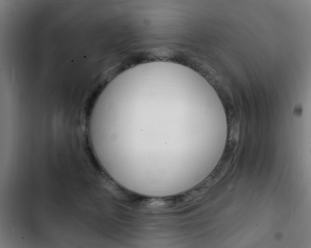X0000103400518200809120927