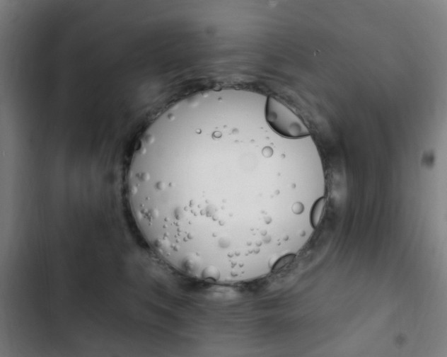 X0000103400519200809120927