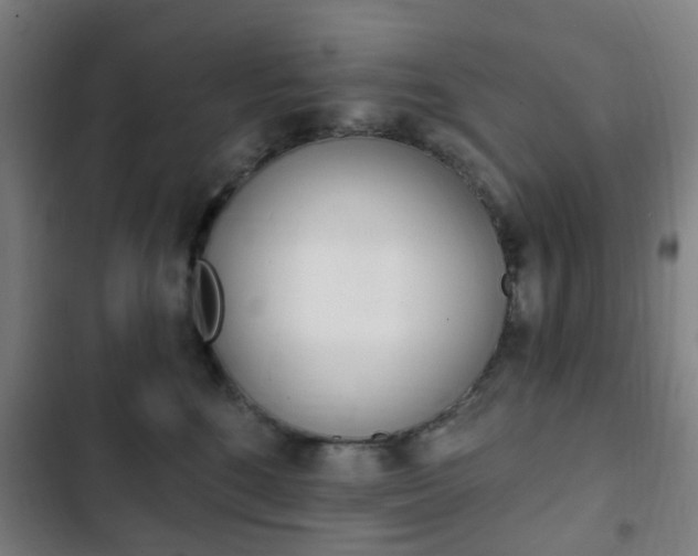 X0000103400520200809120927