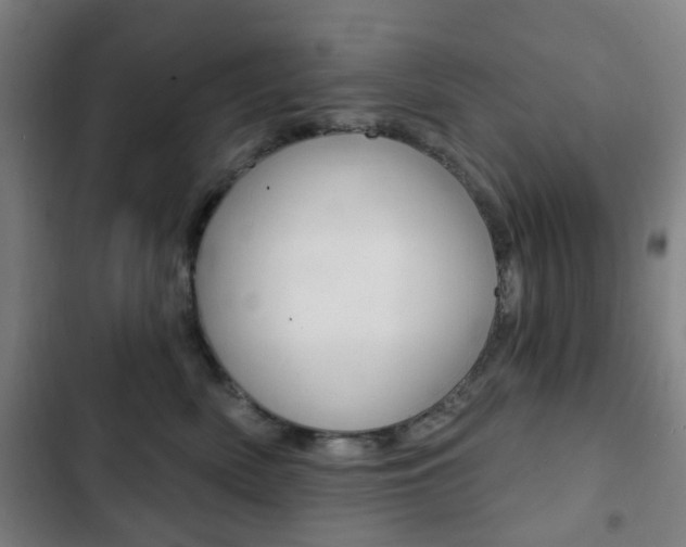 X0000103400522200809120927