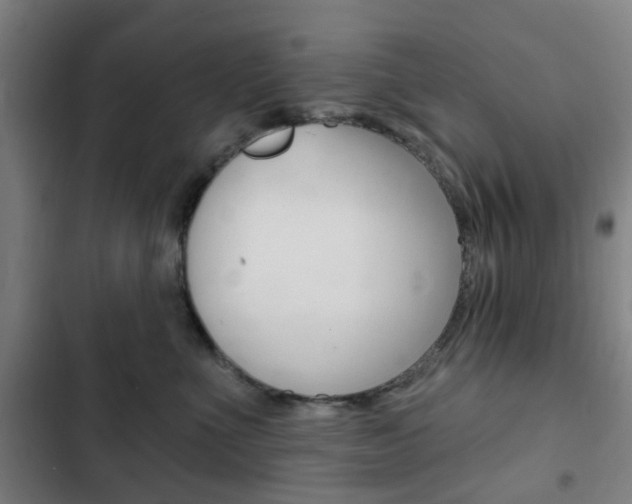 X0000103400523200809120927