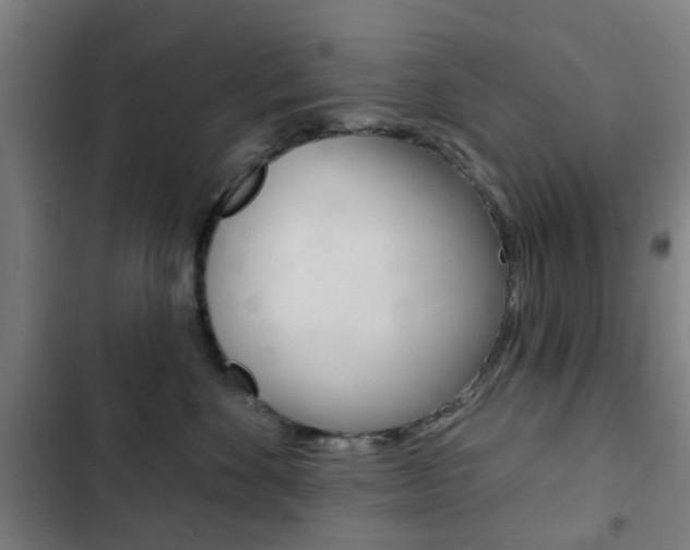 X0000103400524200809120927