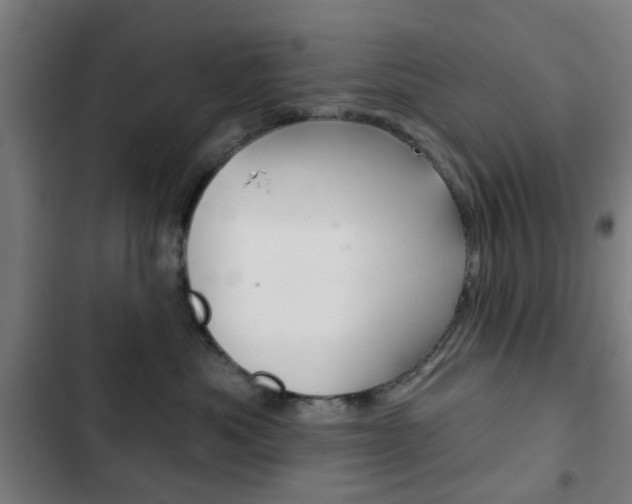 X0000103400525200809120927