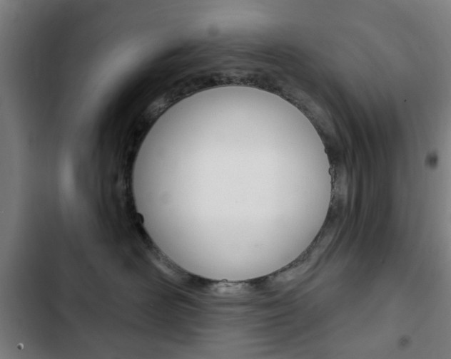 X0000103400526200809120927