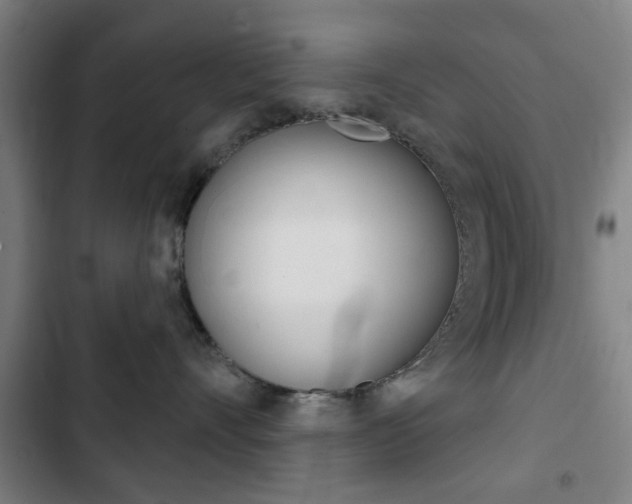 X0000103400528200809120927