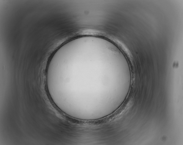X0000103400529200809120926