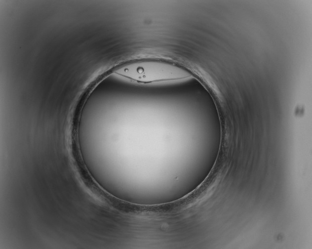X0000103400530200809120926