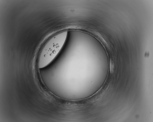 X0000103400531200809120926