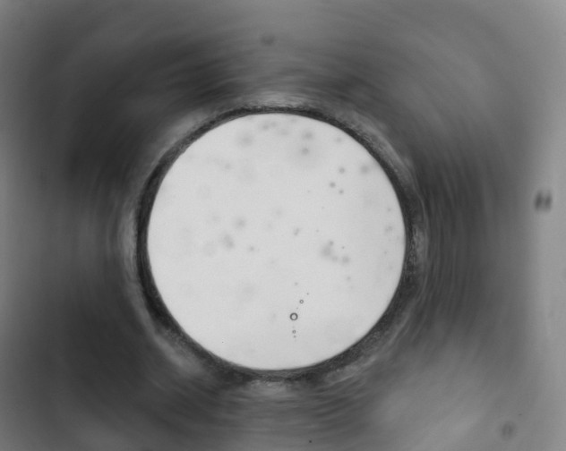 X0000103400534200809120926