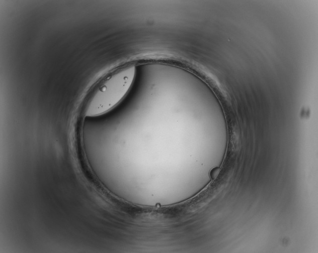 X0000103400535200809120926