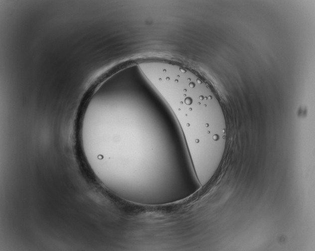 X0000103400536200809120926
