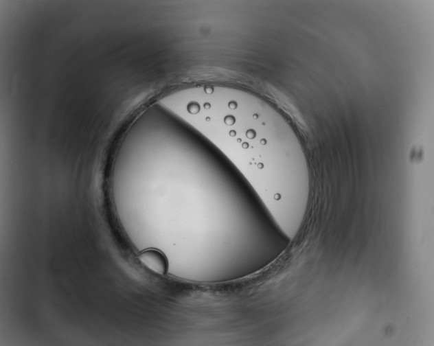 X0000103400538200809120926