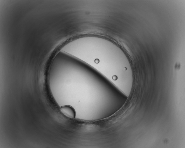 X0000103400539200809120926