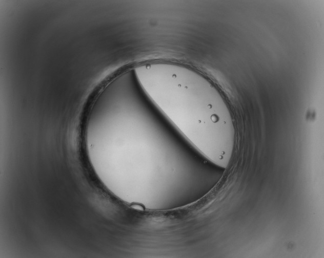 X0000103400540200809120926