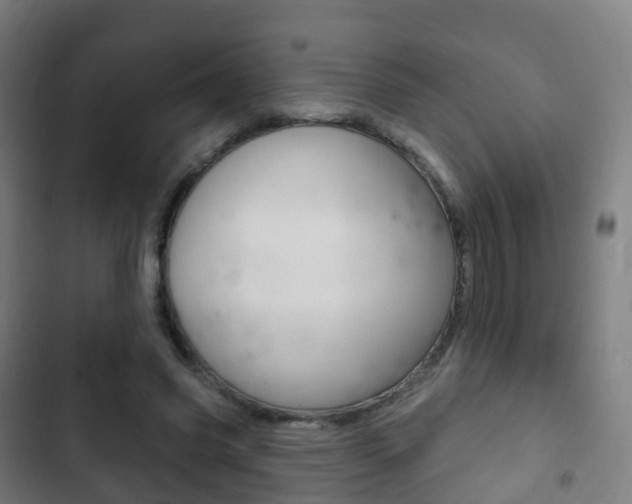 X0000103400541200809120926