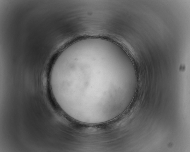 X0000103400542200809120926
