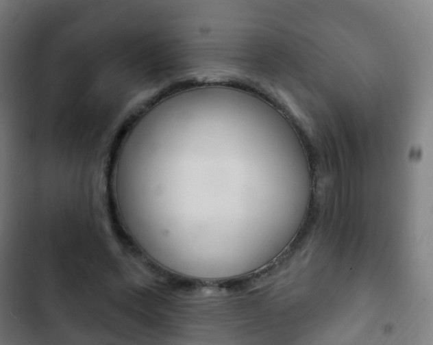 X0000103400543200809120926