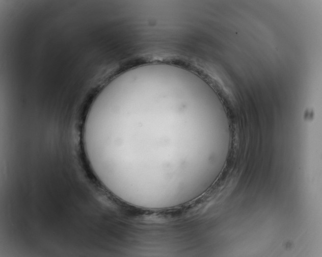 X0000103400545200809120926
