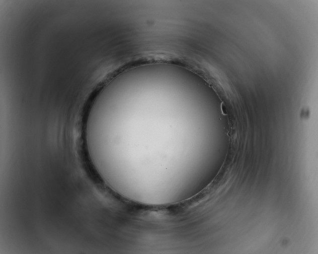 X0000103400548200809120926