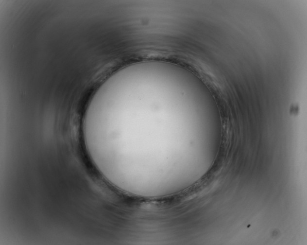 X0000103400550200809120926