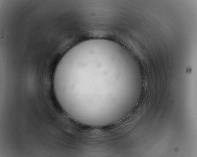 X0000103400551200809120926