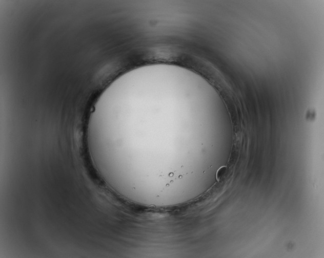 X0000103400552200809120926