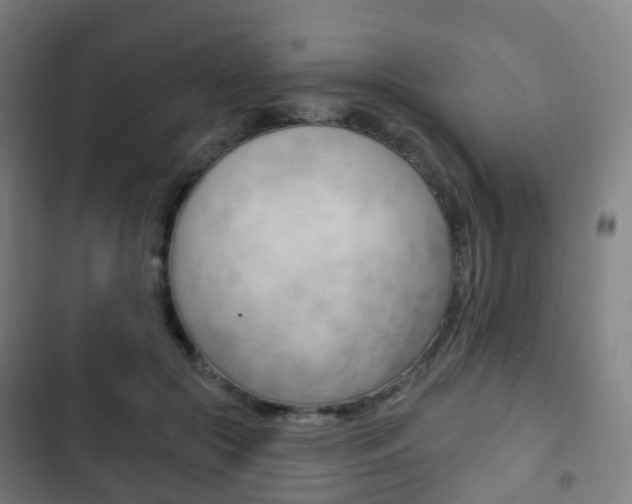 X0000103400553200809120926