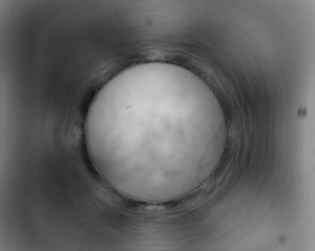 X0000103400554200809120926