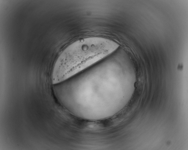 X0000103400555200809120926