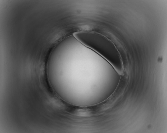 X0000103400556200809120926